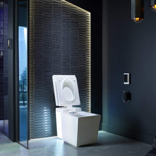 Bồn cầu điện tử thông minh Kohler Numi K-3901-NPR-O