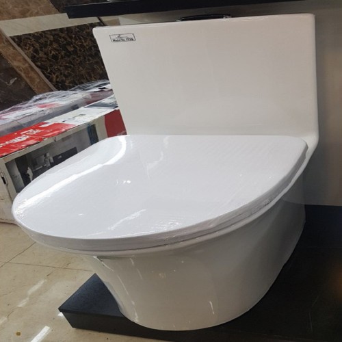 Bồn cầu liền khối Bancoot nắp két sau TS39