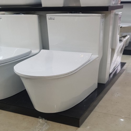 Bồn cầu liền khối Bancoot TS86