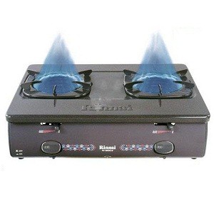 Bếp ga dương Rinnai RV-5600Gi