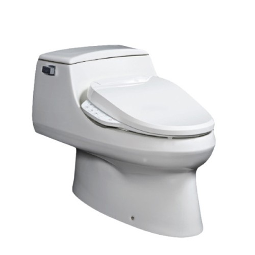 Bồn cầu nắp điện tử San Raphael KOHLER K-3722T-C3-150