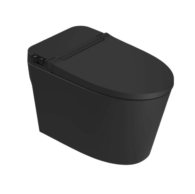 Bồn cầu 1 khối Basic BS-110 - Image 4