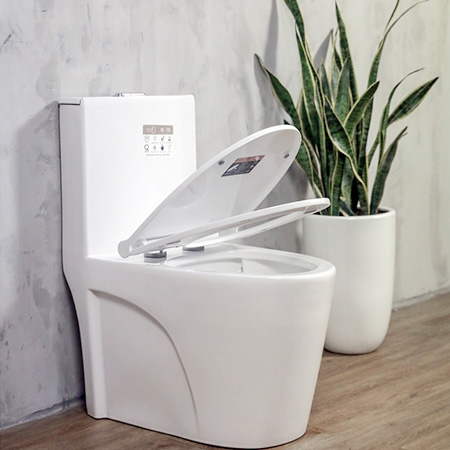 Bồn cầu 1 khối Basic BSA-122 - Image 3