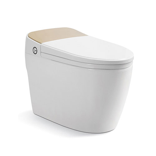 Bồn cầu 1 khối Riba RB-2632 - Image 3