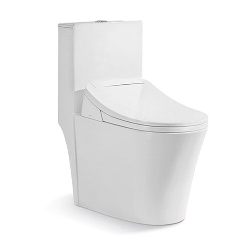 Bồn cầu 1 khối Riba RB-3023 - Image 4