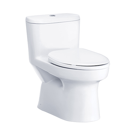 Bồn cầu 2 khối nắp đóng êm Cotto C125317(N) - Image 5