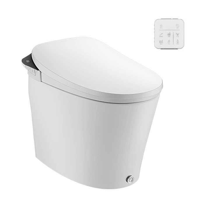 Bồn cầu âm tường MOEN SW1071P0 - Image 4