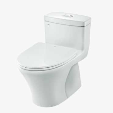 Bồn cầu hai khối nắp êm Inax Aqua AC-808VN (Còn 1 bộ ) - Image 5
