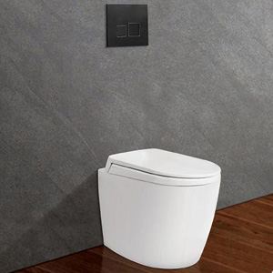 Bồn cầu két âm tường Nano Titan Viglacera V56