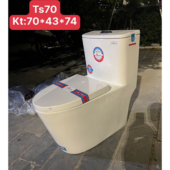 Bồn cầu liền khối Bancoot TS86B - Image 6