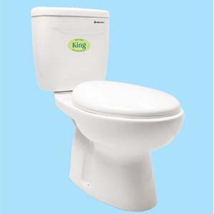 Bồn cầu một khối Thiên Thanh Diamond K5030HS2T - Image 5