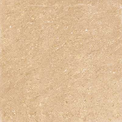 Gạch granite Vilgacera 6060 DN610