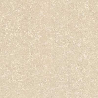 Gạch granite Vilgacera 6060 TS2-612