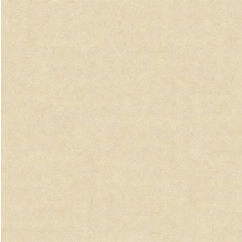 Gạch lát Granite Bạch Mã 60x60 HMP60009 - Image 3