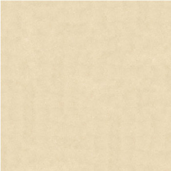 Gạch lát Granite Bạch Mã 60x60 HS60005 - Image 5