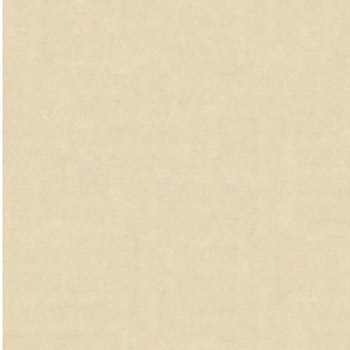 Gạch lát Granite Bạch Mã 60x60 MN60006 - Image 3