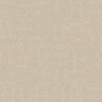Gạch lát Granite Bạch Mã 60x60 MR60003