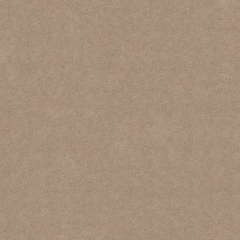 Gạch lát Granite Bạch Mã 60x60 MR60004