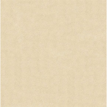 Gạch lát Granite Bạch Mã 60x60 MR6004 - Image 3