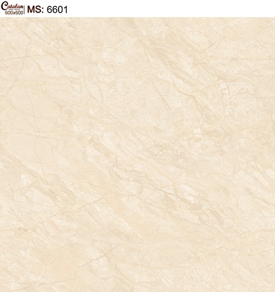Gạch lát nền 60x60 Catalan 6010 - Image 5