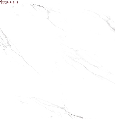 Gạch lát nền 60x60 Catalan 6059 - Image 5