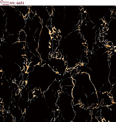 Gạch lát nền 60x60 Catalan 6601 - Image 3