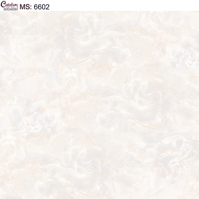 Gạch lát nền 60x60 Catalan 6601 - Image 4