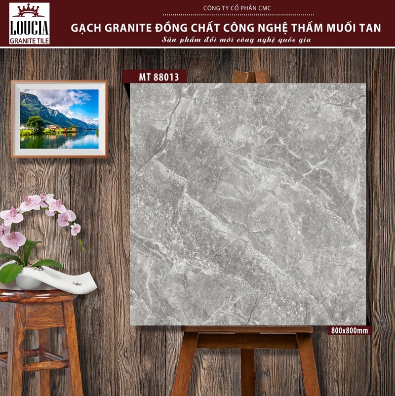 Gạch lát nền Granite 80x80cm công nghệ thấm muối tan CMC MT 88006 - Image 3