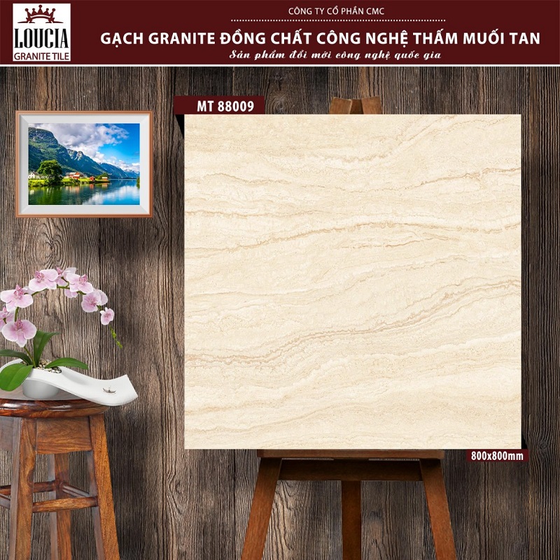 Gạch lát nền Granite 80x80cm công nghệ thấm muối tan CMC MT 88009