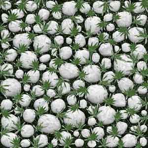 Gạch lát sân vườn 40x40 MC 401