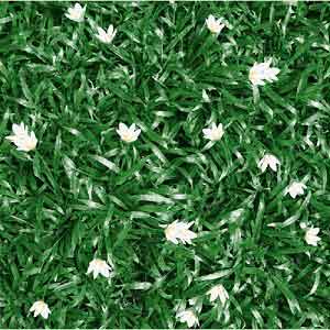 Gạch lát sân vườn 40x40 MC 403