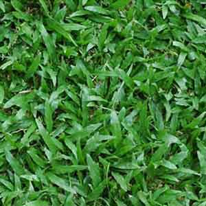 Gạch lát sân vườn 40x40 Viglacera GF449 - Image 5