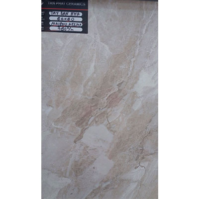 Gạch ốp lát 60x60 Tây Ban Nha AM-6108 - Image 3