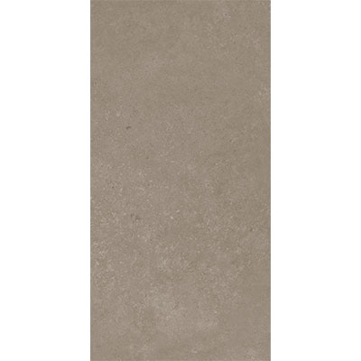 Gạch ốp lát KIS 30x60 PCY603S04