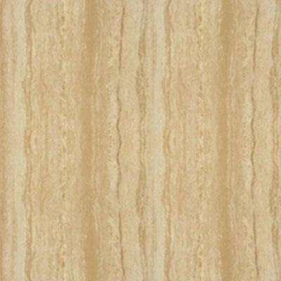 Gạch ốp lát TKG P87216N