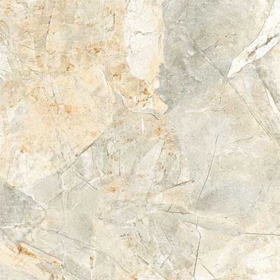 Gạch ốp lát Viglacera 5050 H503 - Image 3