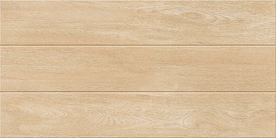 Gạch ốp tường 30x60 Catalan 3673