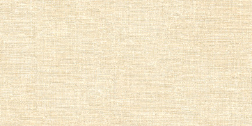 Gạch ốp tường 30x60 Prime 81641 - Image 3