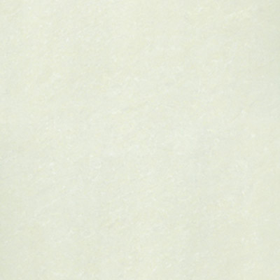 Gạch Taicera 60x60 G68991S - Image 4
