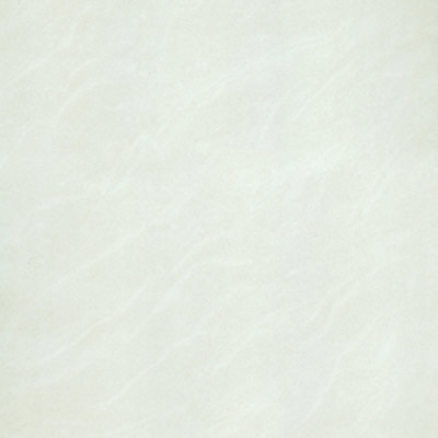 Gạch Taicera 60x60 P67025N