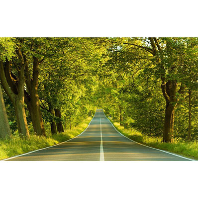 Gạch tranh trang trí HD 059 (600x600) - Image 4