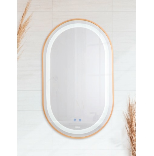 Gương phòng tắm đèn Led Classic CLG 919 (550x900mm)