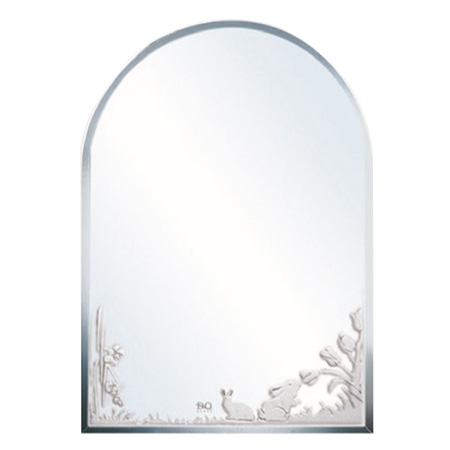 Gương phòng tắm Đình Quốc DQ 4237 (50x70)