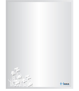 Gương phòng tắm HOBIG HB2-735(50x70cm 2 lớp) - Image 5