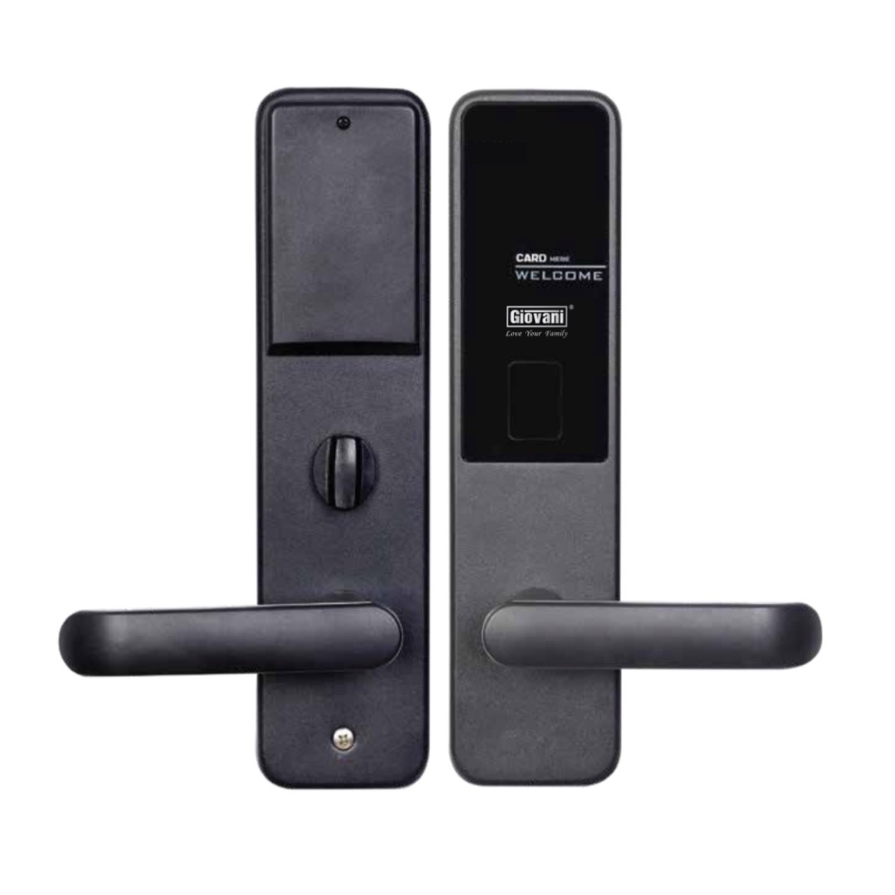 Khóa cửa thông minh GIOVANI GSL-H2