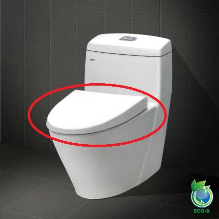 Nắp bồn cầu Inax 909 (êm)