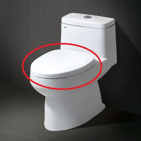 Nắp bồn cầu Royal RA-006 (Nắp êm) - Image 3