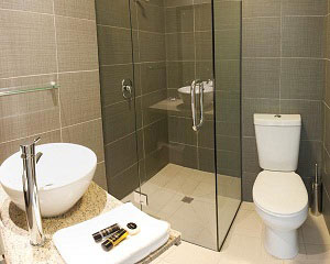 Phòng tắm vách kính Đình Quốc 8173-2 - Image 3