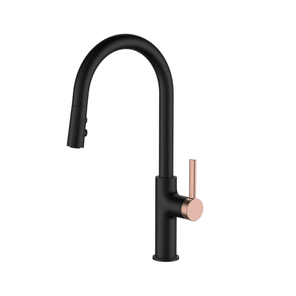 Vòi rửa bát dây rút nóng lạnh màu đen RENE KLUGER KLF0008B - Image 5